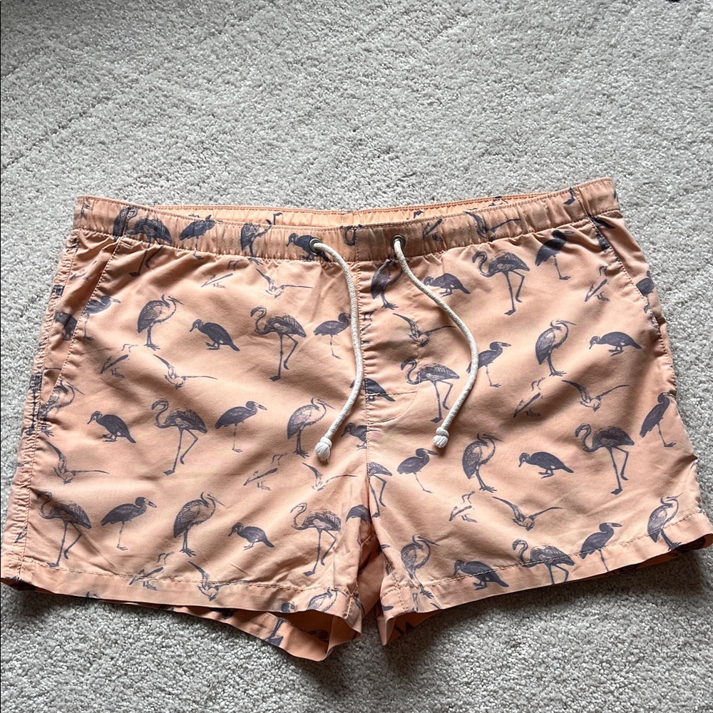 Club Monaco Coral and Navy Swim Shorts